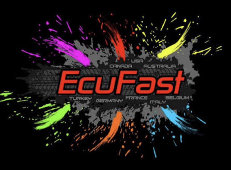 Ecufast Chip Tuning logo