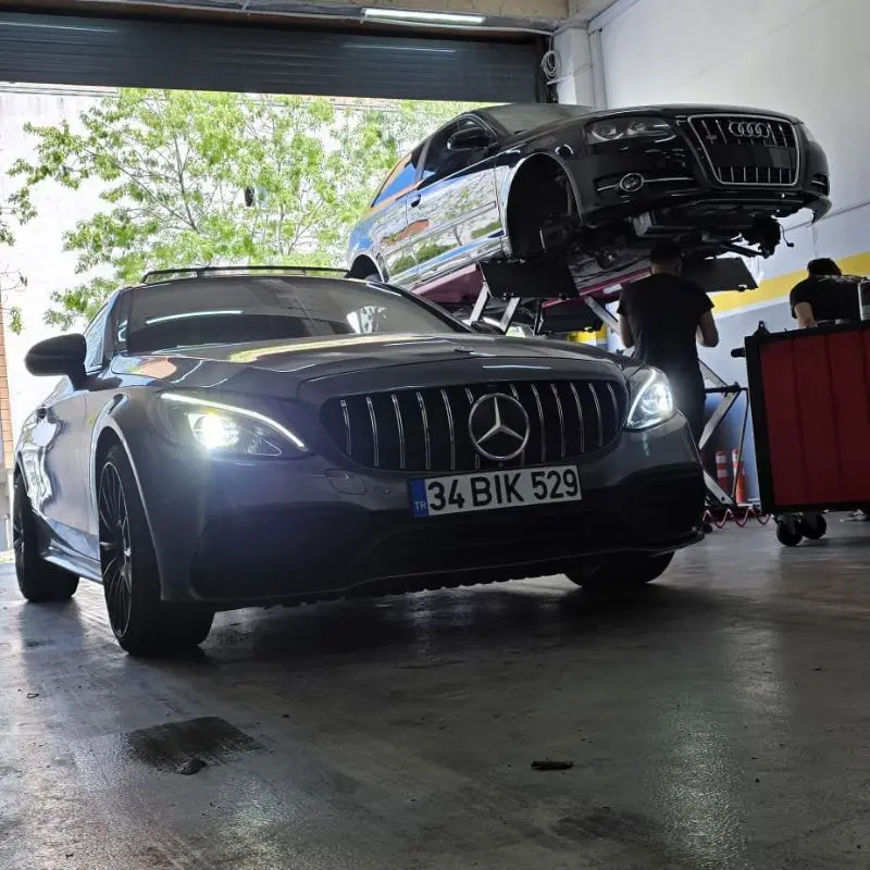 Ahtapot Otu Servis logo